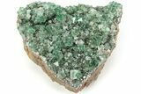 Fluorescent Green Fluorite Cluster - Diana Maria Mine, England #208862-1